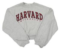 Šedá melírovaná crop mikina s nápisem H&M
